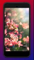 Spring Wallpapers screenshot 1