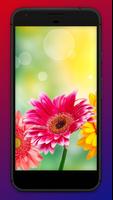 Spring Wallpapers screenshot 2