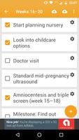 برنامه‌نما Pregnancy Checklist عکس از صفحه