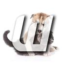 Кошки и собаки коллекция 1 APK
