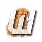 Cats And Dogs Wallpapers 2 icon