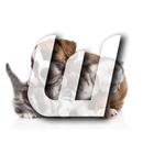Cute Cats&Dogs Wallpapers 4 APK