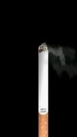 Cigarettoid bài đăng