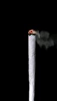 Cigarettoid ảnh chụp màn hình 3