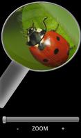 Magnifying Glass Affiche