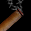 v Cigar