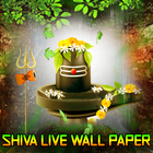 Shivaling Live Wallpaper 2020 icône