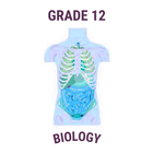 Grade 12 Biology Human Anatomy icon