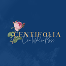 APK Centifolia Rose
