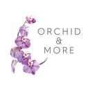 APK Orchid and More