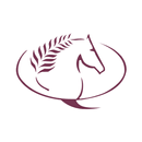 QEF - الاتحاد القطري للفروسية APK