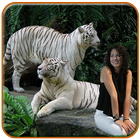 Tiger Photo Editor أيقونة