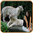 Tiger Photo Editor ícone