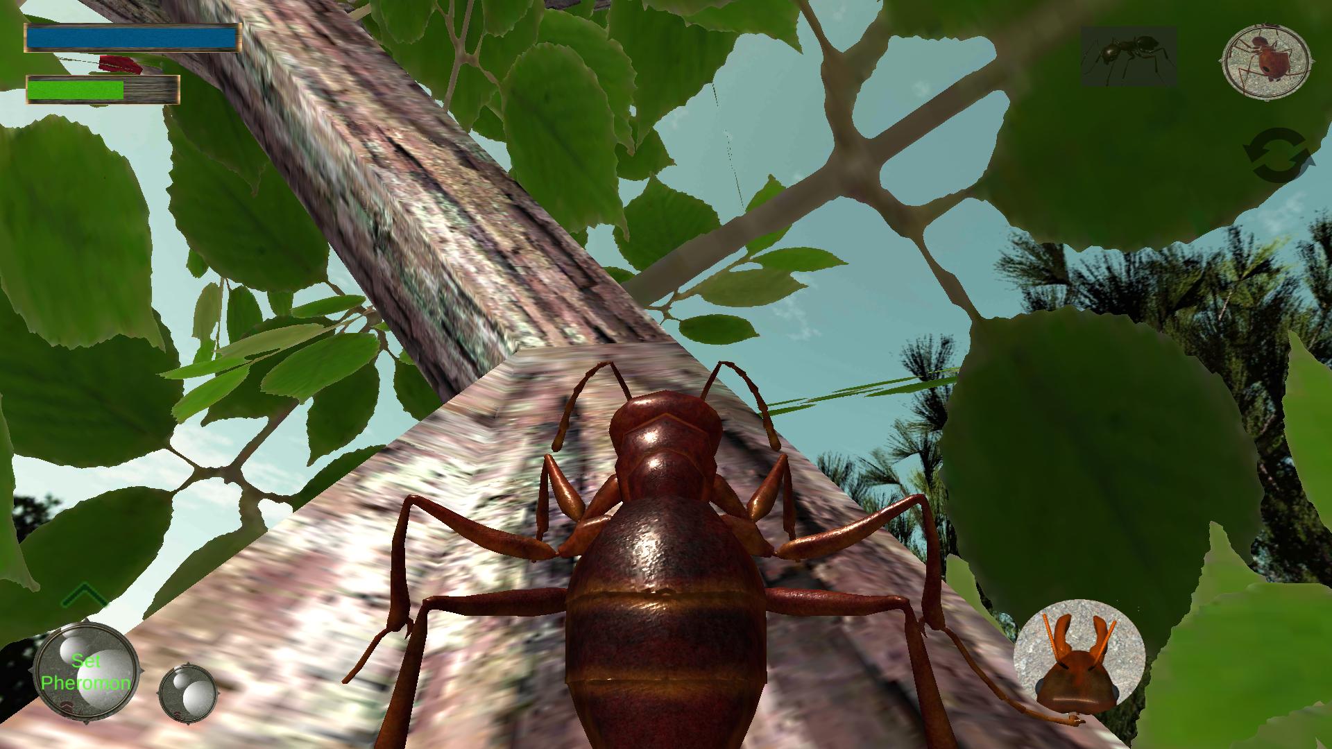 Игра муравьи пауки. Ant Simulator (симулятор муравья). Симулятор муравьев игра. Выживалка с насекомыми. Игры про насекомых.