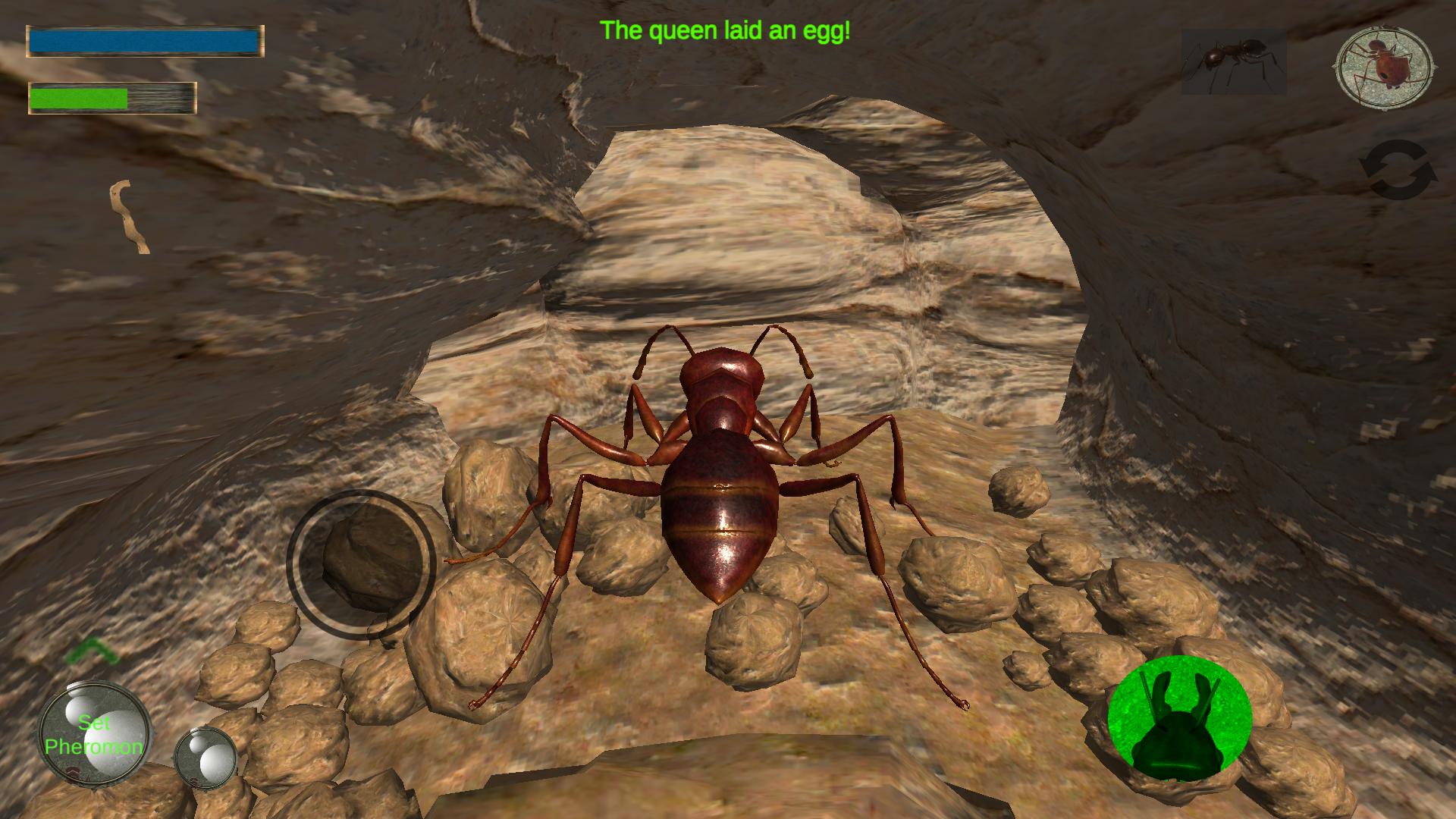 Игра симулятор муравья. Игра Ant Queen 3d. Игра про муравьев Ants. Симулятор муравья (Муравейник). Симулятор муравья 3d.