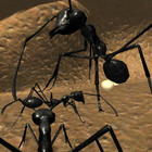 Ant Simulation 3D Full आइकन