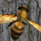 Bee Nest Simulator آئیکن