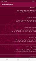 10000+ Urdu Poetry- All Shayari Collection Ekran Görüntüsü 2