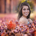 Leaf Editor - Leaves Frames