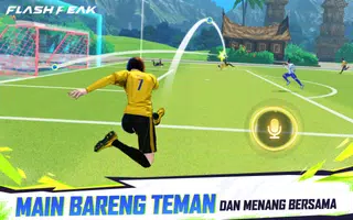 Flash Peak screenshot 2