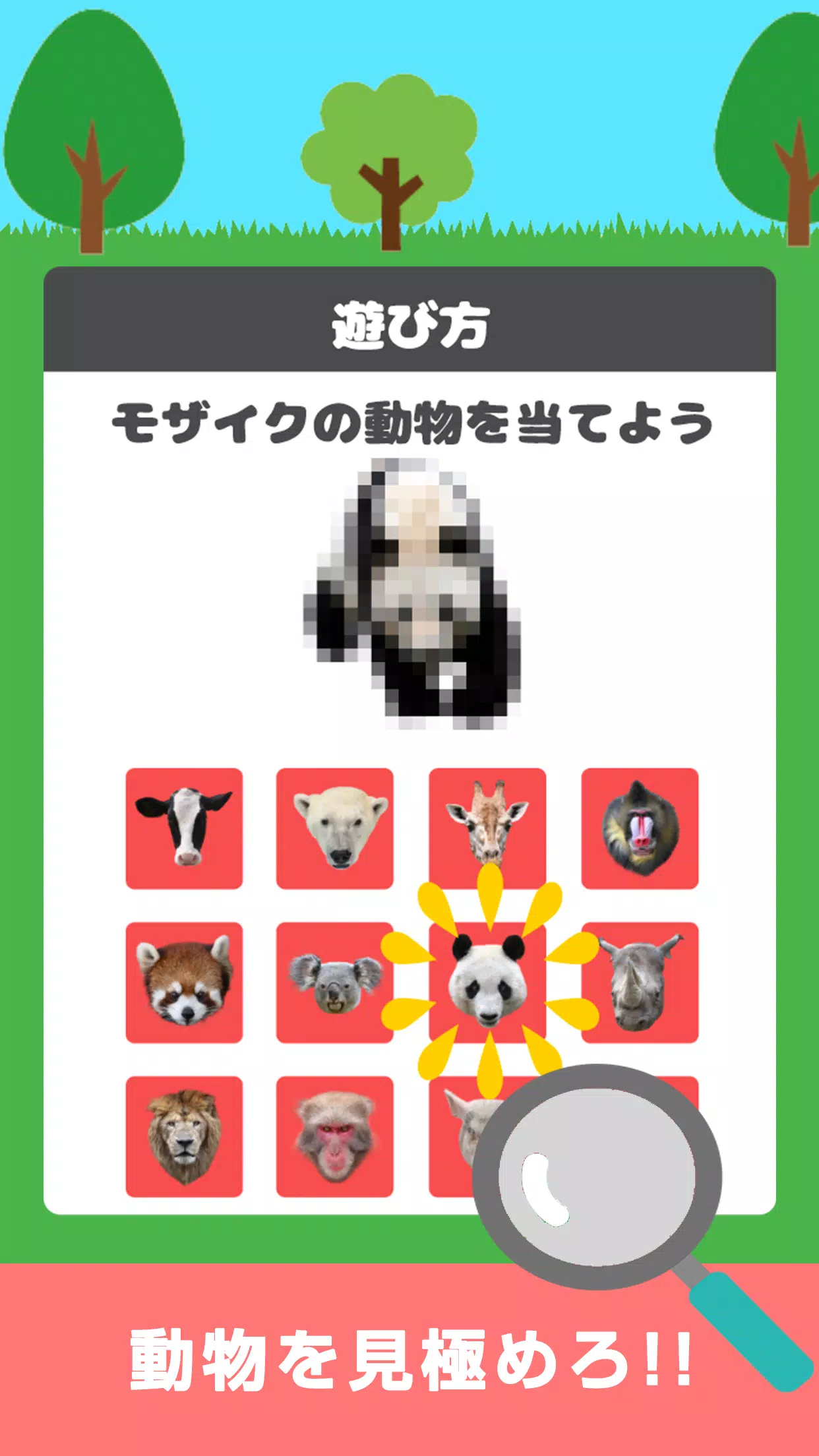 動物当てクイズ 脳トレパズルゲーム Apk For Android Download