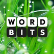 Word Bits: A Word Puzzle Game