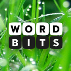 Icona Word Bits