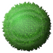 Super Marimo Depth