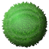 Super Marimo icono