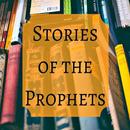 prophets stories islam full APK