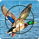Duck Hunter 3d Birds Shooting APK
