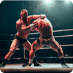 Pro Wrestling Tag Team Fight