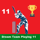 Watch Live Cricket Score icône