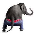 Dancing Talking Elephant APK