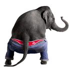 Dancing Talking Elephant иконка