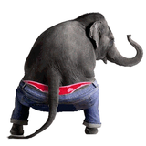 Dancing Talking Elephant иконка