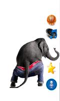 Dancing Talking Elephant Affiche