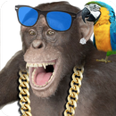Real hablando de mono APK
