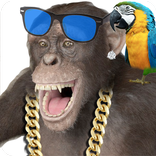 Funny Talking Monkey