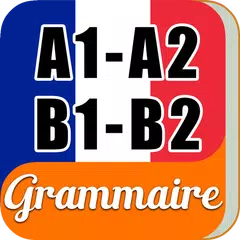 Learn French Beginner Grammar APK download