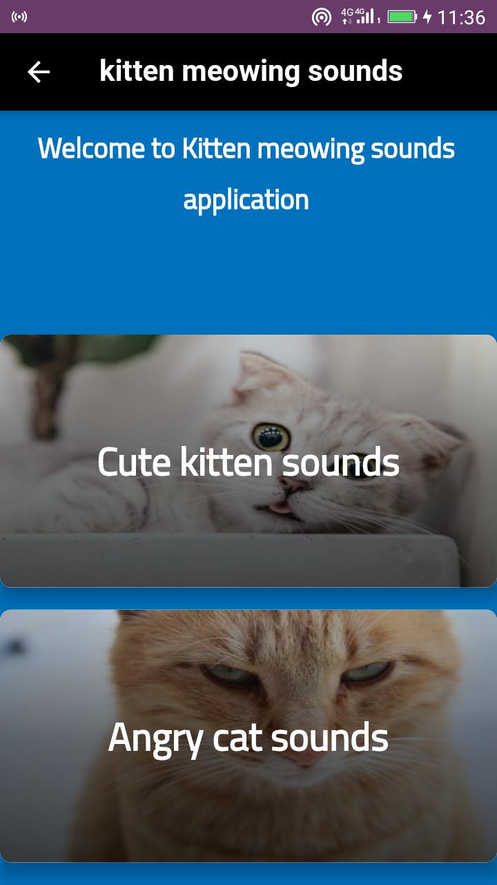 Kitten meowing sounds Cat meow APK pour Android Télécharger