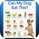 what can dogs eat APK