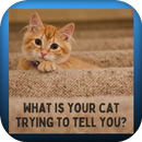 what is my cat saying APK