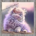 Cute Animal Wallpaper