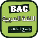 ملخص لغة عربية باك جميع الشعب APK