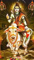 God Shiva Photo Download スクリーンショット 2