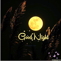 good night images