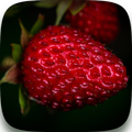Fruits Wallpapers HD
