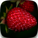 Fruits Wallpapers HD APK