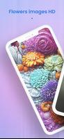 Rose images HD โปสเตอร์